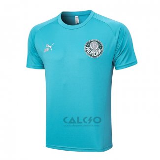 Maglia Allenamento Palmeiras 2023-2024 Verde