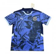 Maglia Paraguay Away 2024