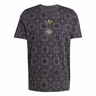 Maglia Prematch Bayern Monaco 2025-2026 Grigio