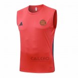 Maglia Allenamento Bayern Monaco Senza Maniche 2025-2026 Arancione