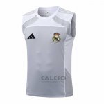 Maglia Allenamento Real Madrid Senza Maniche 2025-2026 Grigio Bianco