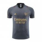 Maglia Allenamento Arsenal 2023-2024 Grigio
