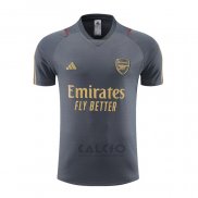 Maglia Allenamento Arsenal 2023-2024 Grigio