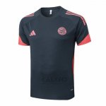Maglia Allenamento Bayern Monaco 2025-2026 Grigio Scuro