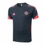 Maglia Allenamento Bayern Monaco 2025-2026 Grigio Scuro