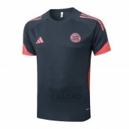 Maglia Allenamento Bayern Monaco 2025-2026 Grigio Scuro