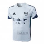 Maglia Allenamento Arsenal 2025-2026 Grigio