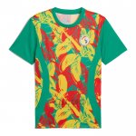 Maglia Prematch Senegal 2024 Verde