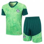 Tuta da Track Palmeiras Manica Corta 2024-2025 Verde - Pantaloncini