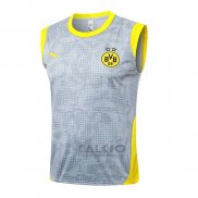 Maglia Allenamento Borussia Dortmund Senza Maniche 2025-2026 Grigio