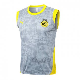 Maglia Allenamento Borussia Dortmund Senza Maniche 2025-2026 Grigio