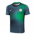 Maglia Allenamento Nigeria 2024-2025 Grigio Verde