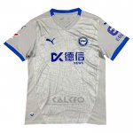 Maglia Avai Portiere 2024 Grigio Thailandia