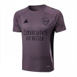 Maglia Allenamento Arsenal 2024-2025 Grigio Purpura
