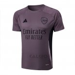 Maglia Allenamento Arsenal 2024-2025 Grigio Purpura