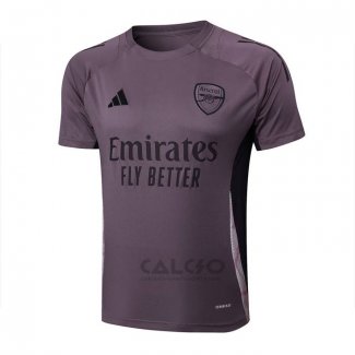 Maglia Allenamento Arsenal 2024-2025 Grigio Purpura