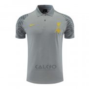 Maglia Polo Liverpool 2022-2023 Grigio