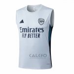 Maglia Allenamento Arsenal Senza Maniche 2025-2026 Grigio