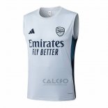 Maglia Allenamento Arsenal Senza Maniche 2025-2026 Grigio