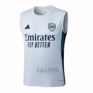 Maglia Allenamento Arsenal Senza Maniche 2025-2026 Grigio