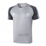 Maglia Allenamento Atletico Mineiro 2024-2025 Grigio