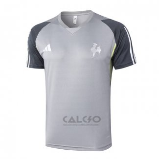 Maglia Allenamento Atletico Mineiro 2024-2025 Grigio