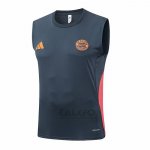Maglia Allenamento Bayern Monaco Senza Maniche 2025-2026 Grigio Scuro