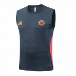 Maglia Allenamento Bayern Monaco Senza Maniche 2025-2026 Grigio Scuro
