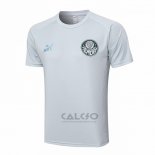 Maglia Allenamento Palmeiras 2023-2024 Grigio