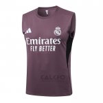 Maglia Allenamento Real Madrid Senza Maniche 2025-2026 Grigio Purpura