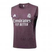Maglia Allenamento Real Madrid Senza Maniche 2025-2026 Grigio Purpura