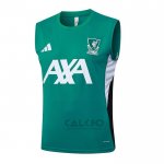 Maglia Allenamento Tottenham Hotspur Senza Maniche 2025-2026 Verde