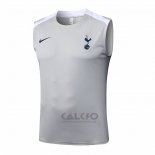Maglia Allenamento Tottenham Hotspur Senza Maniche 2025-2026 Grigio
