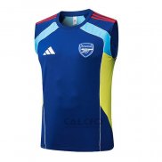 Maglia Allenamento Arsenal Senza Maniche 2025-2026 Blu